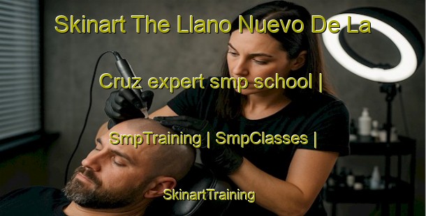 Skinart The Llano Nuevo De La Cruz expert smp school | SmpTraining | SmpClasses | SkinartTraining-Mexico